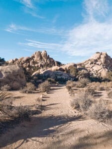 Closest Airports to Joshua Tree National Park & How to Get There
