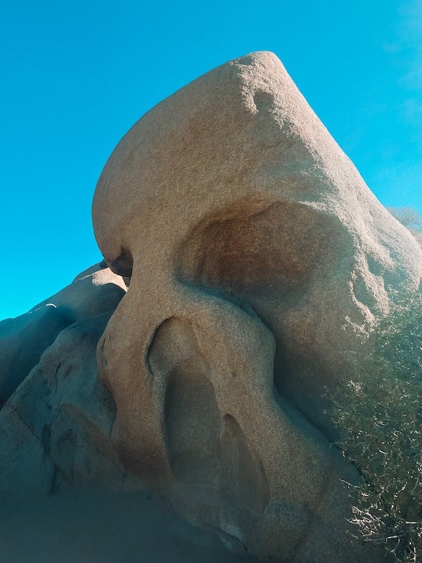 A massive rock eroded to look like a skull in Joshua Tree. 