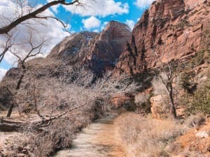 Ultimate Zion National Park Itinerary: How to Spend 1, 2, or 3 Days in Zion