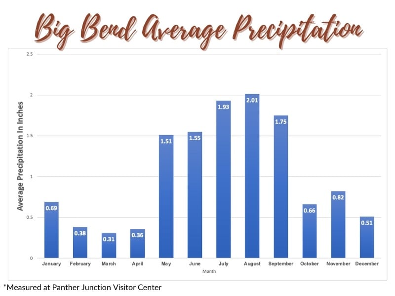 A bar graph showing the average precipitation in Big Bend by month