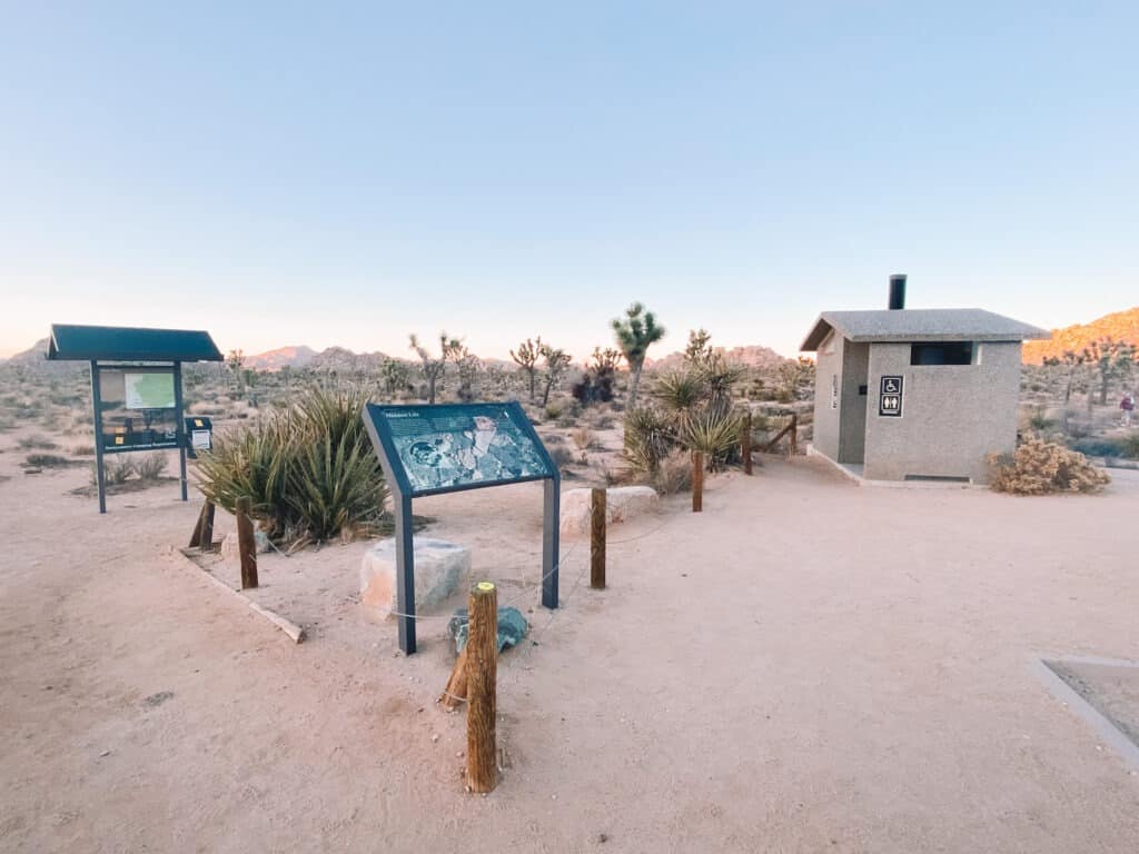 Trailhead signs and a small outhouse building at the start of the Boy Scout Trail, with Joshua Trees in the background. 