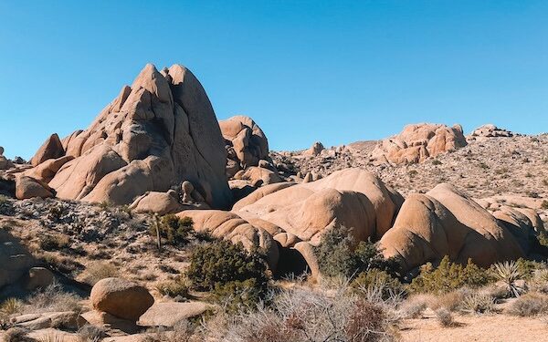 A field of massive boulders and rock formations on the Discovery Trail in Joshua Tree.
