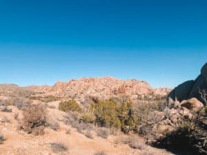 Hiking Joshua Tree: 17 Memorable Hikes in Joshua Tree National Park