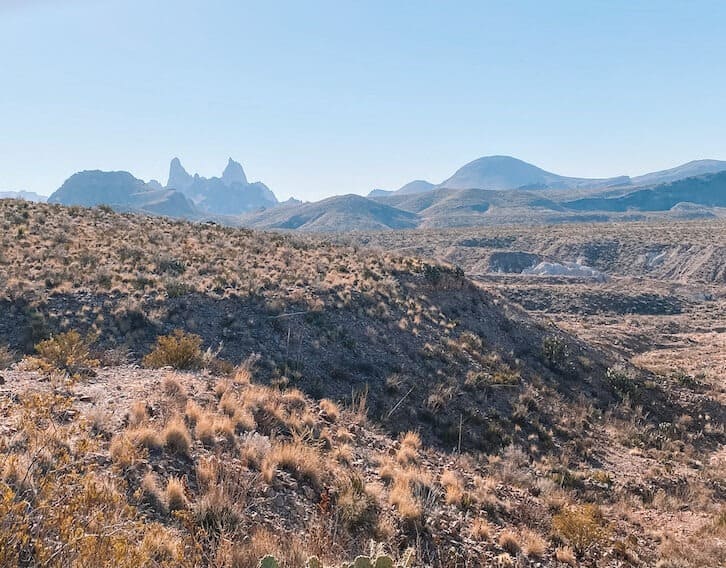 two pointy mountain peaks in the distance are the aptly named Mule Ears formation in Big Bend