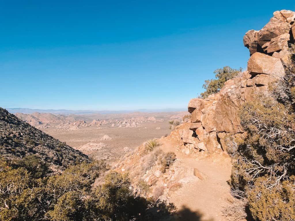 A rocky trail winds up Ryan Mountain with distant views of the rocky plains of Joshua Tree National Park in the background.
