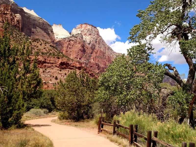 a paved trail winds between trees and red and white massive rock formations in the background on the Parus Trail in Zion 