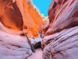 Adventure-Packed 7-Day Southern Utah Itinerary: Zion, Kanab & Beyond