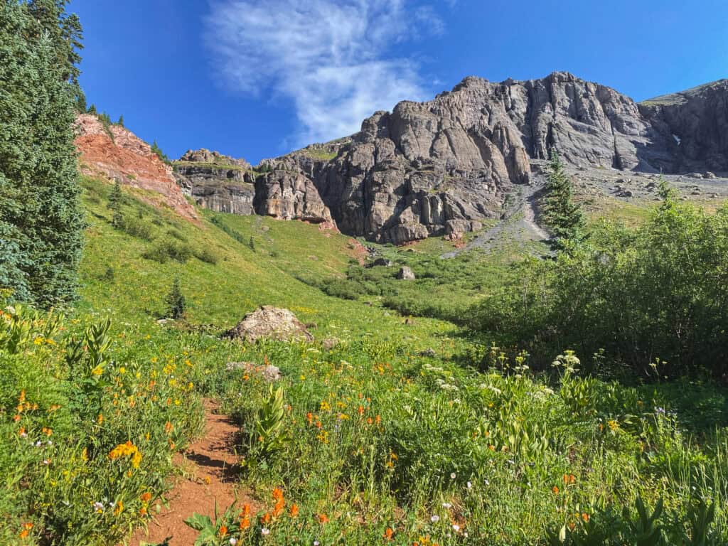 the Lower Basin with fields of wildflowers and snowcapped peaks on the Ice Lakes trail.