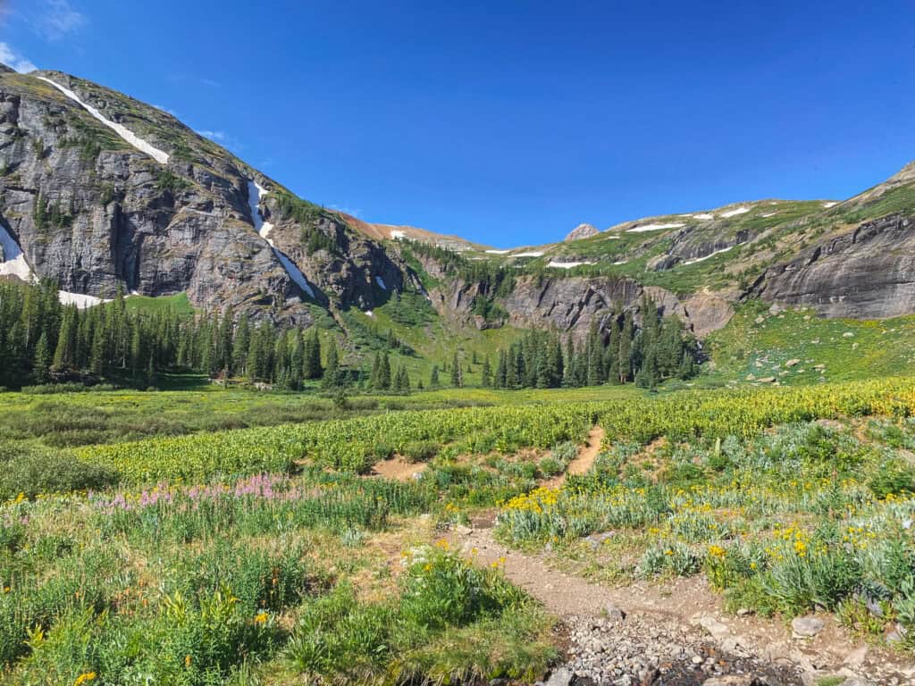 the Lower Basin with fields of wildflowers and snowcapped peaks on the Ice Lakes trail.