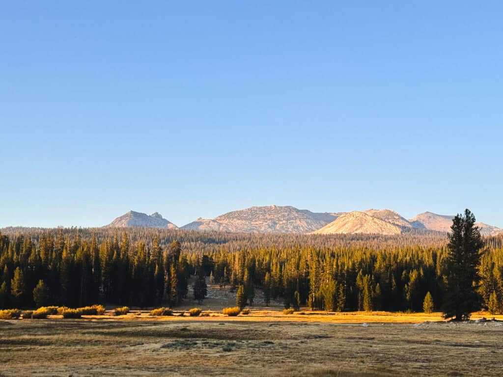 Lembert Dome and the Sierra backcountry in the distance, and Tuolumne Meadows in the foreground at sunset in Yosemite