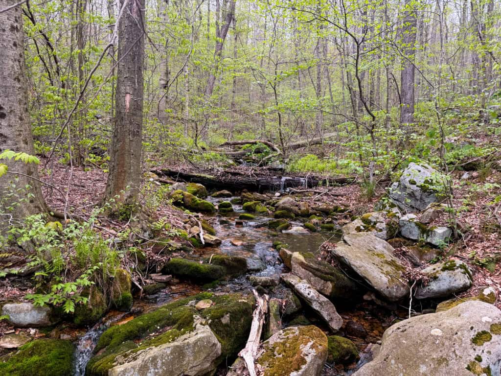 a babbling brook on day 4 of the Laurel Highlands Hiking trail