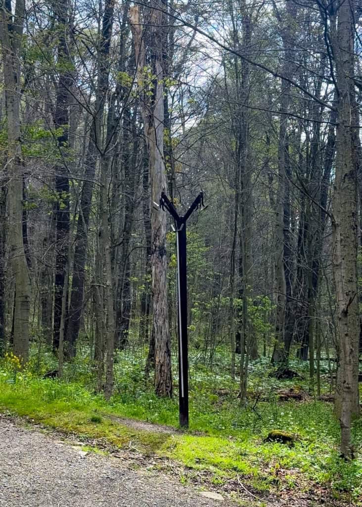 bear hang poles are now installed in all shelter areas on the LHHT