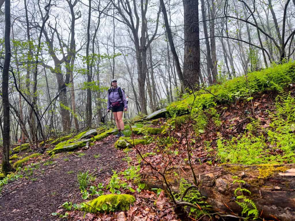 hiking on the laurel highlands hiking trail, day 2